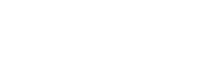Bilnett Auksjon